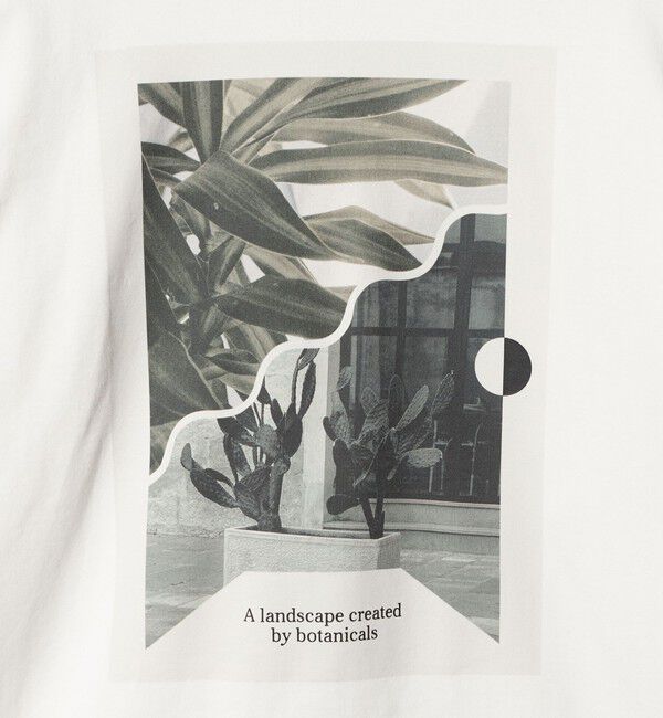 UNITED ARROWS green label relaxing「＜Phospho Graphica＞グラフィック ロングスリーブ Tシャツ」|Tシャツ・カットソー|