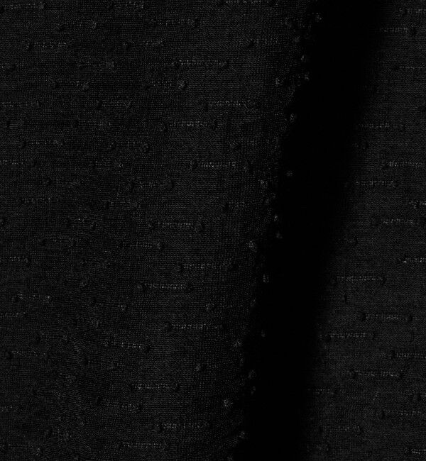 BEAUTY&YOUTH UNITED ARROWS「ピンドット シアージャガード ブラウス ウォッシャブル」|シャツ・ブラウス|