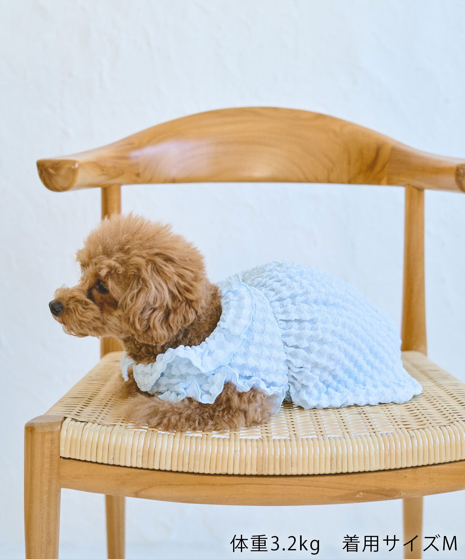 ROPE PICNIC PASSAGE「【DOG】ぽこぽこギャザーワンピース」|その他|