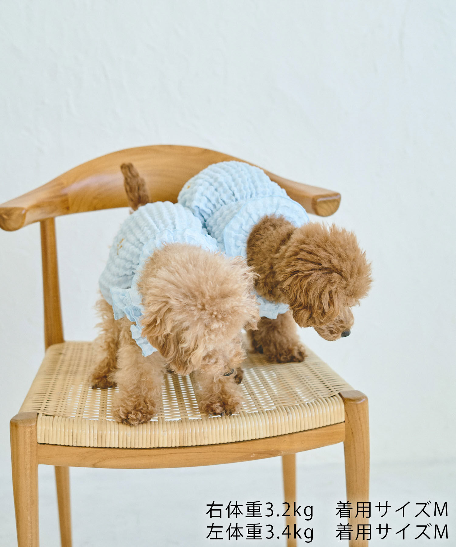 ROPE PICNIC PASSAGE「【DOG】ぽこぽこギャザーワンピース」|その他|