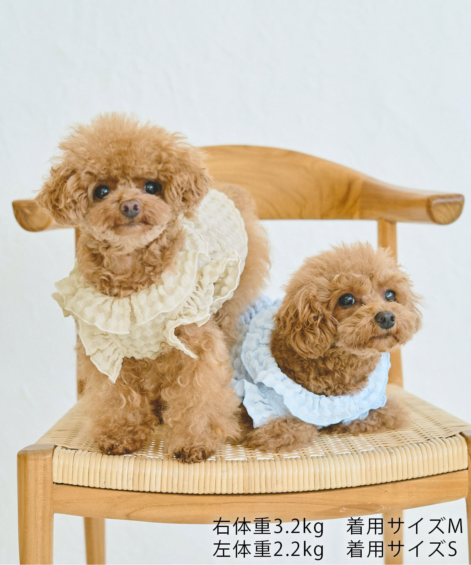 ROPE PICNIC PASSAGE「【DOG】ぽこぽこギャザーワンピース」|その他|