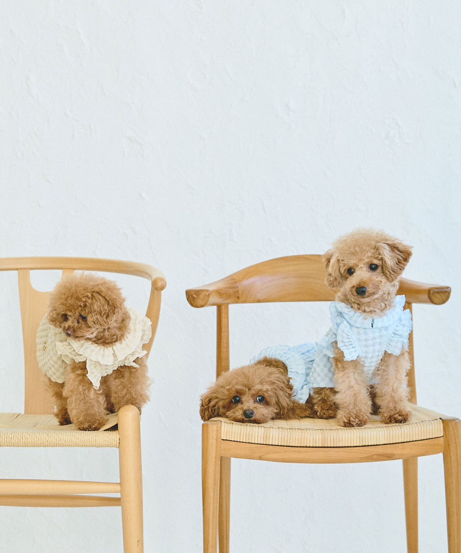 ROPE PICNIC PASSAGE「【DOG】ぽこぽこギャザーワンピース」|その他|