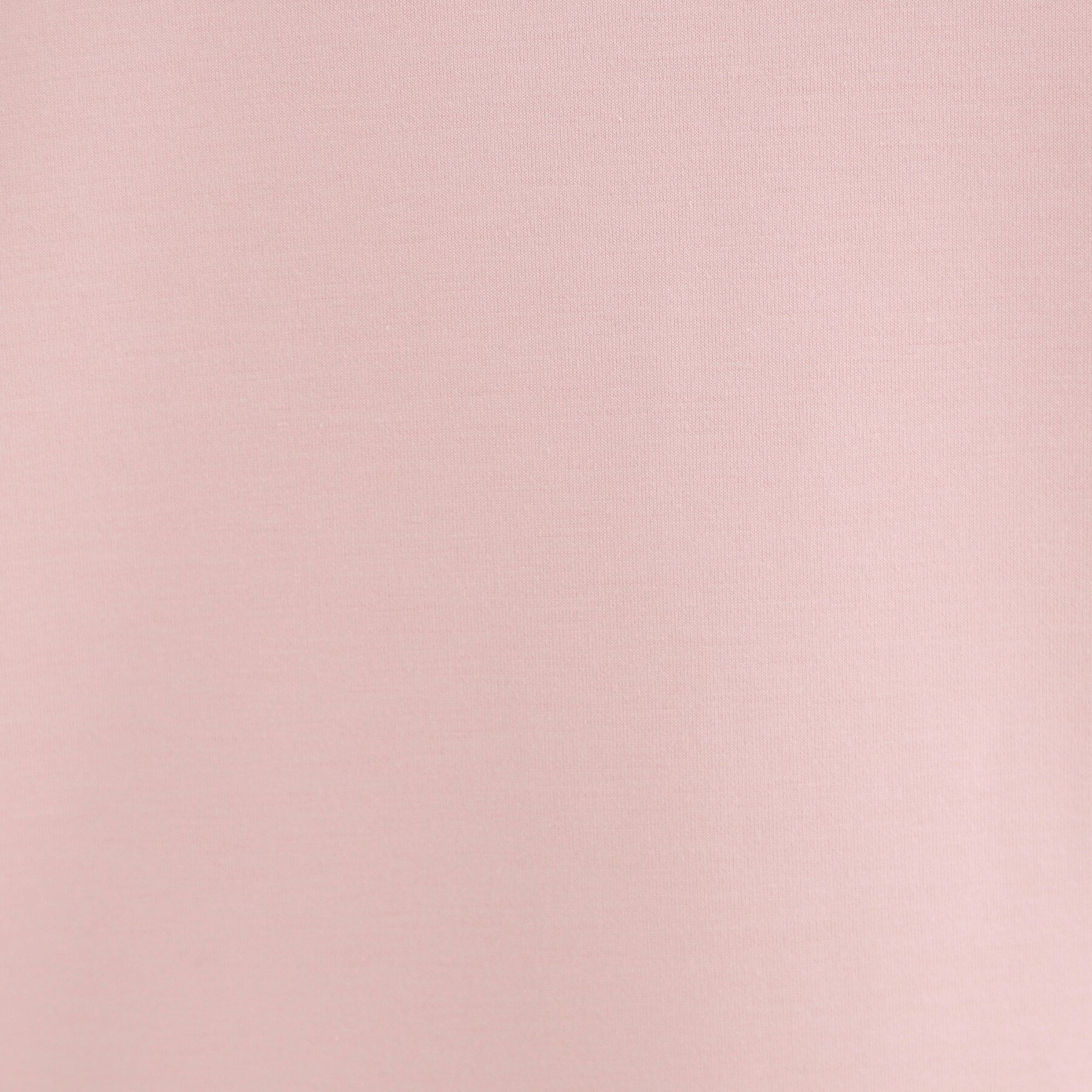 SHOO･LA･RUE「【S-LL】なめらかタッチ もちさら ニュアンス襟トップス」|Tシャツ・カットソー|