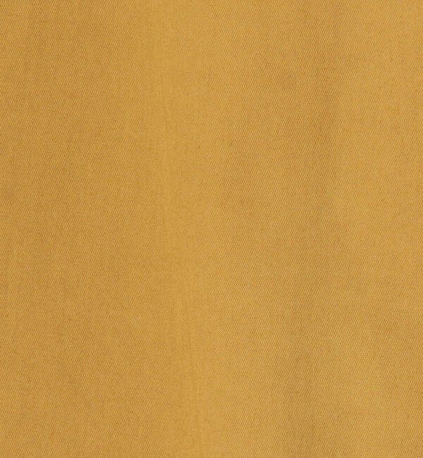 TOMORROWLAND MENS「【別注】SMITH'S AMERICAN コットン ペインターパンツ」|チノ|