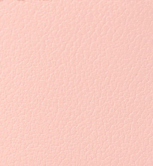 TOMORROWLAND GOODS「Atelier TOMORROWLAND TRINCKET マルチケース」|その他|