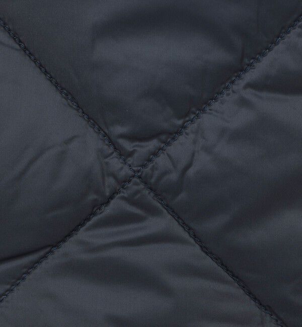 NOLLEY'S goodman「【TAION/タイオン】SINGLE SNAP BUTTON DOWN GILET 25AW」|ダウンベスト・ベスト|