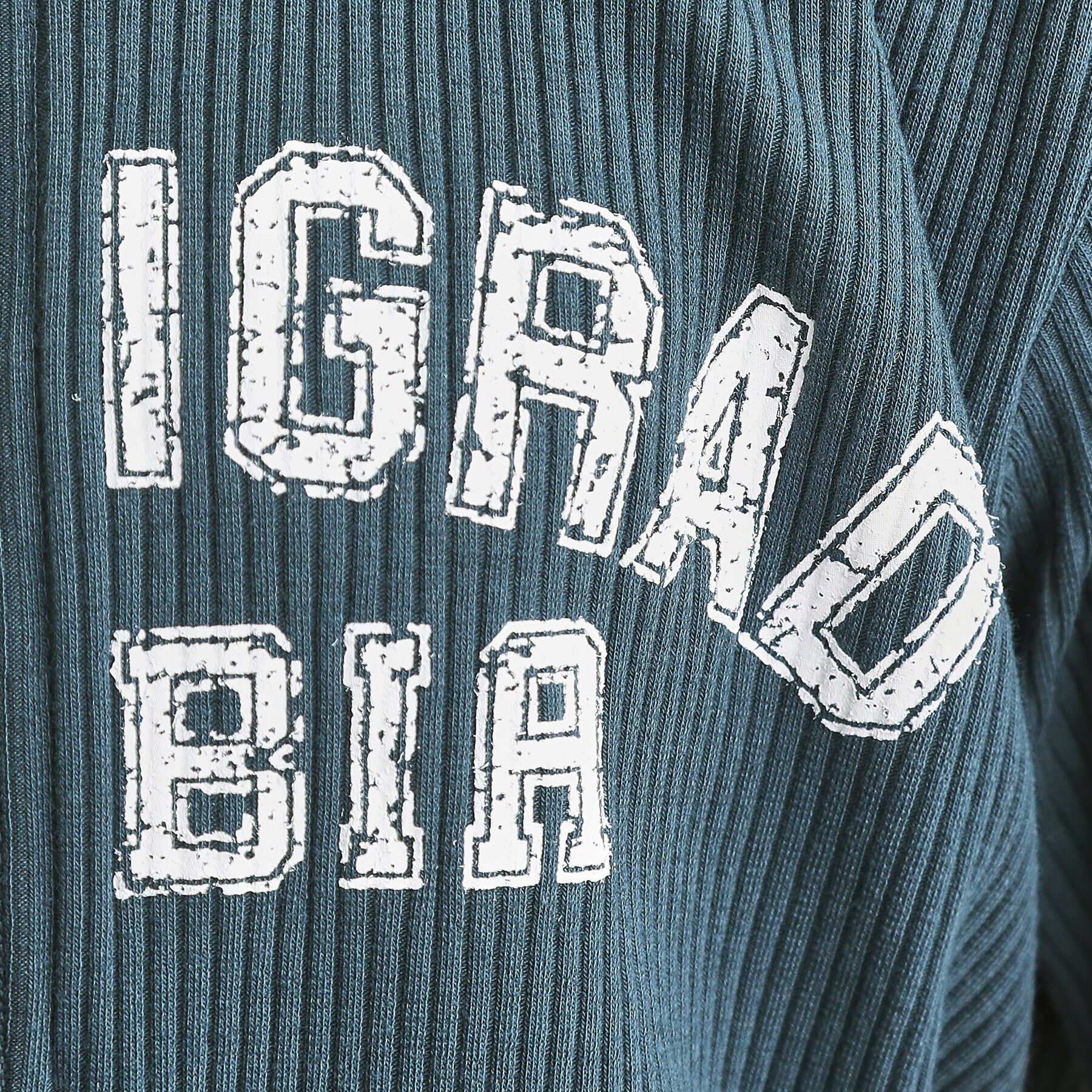 PINK-latte「襟付きテレコダブルジッププルオーバー」|Tシャツ・カットソー|