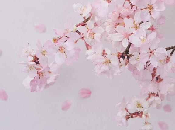 Flora Notis JILL STUART「フローラノーティス ジルスチュアート オードパルファン 100mL」|香水・フレグランス|