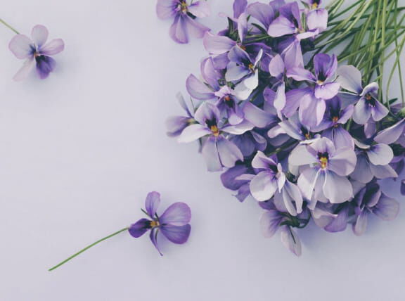 Flora Notis JILL STUART「フローラノーティス ジルスチュアート オードパルファン 100mL」|香水・フレグランス|