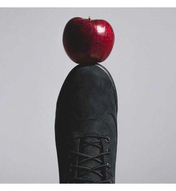 BEAMS「【別注】TIMBERLAND &times; APPLE BUTTER STORE / Field Boots GORE-TEX（R）」|その他|