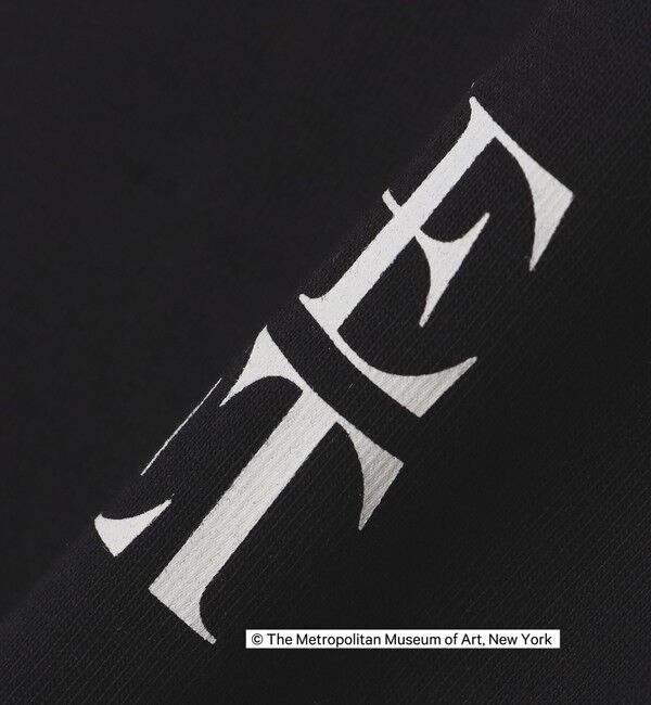 SHIPS Colors 「SHIPS Colors:THE MET コラボ プリントTシャツ」|Tシャツ・カットソー|