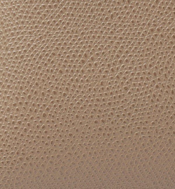 TOMORROWLAND GOODS「CARBOTTI DIANA 321 ハンドバッグ」|ハンドバッグ|