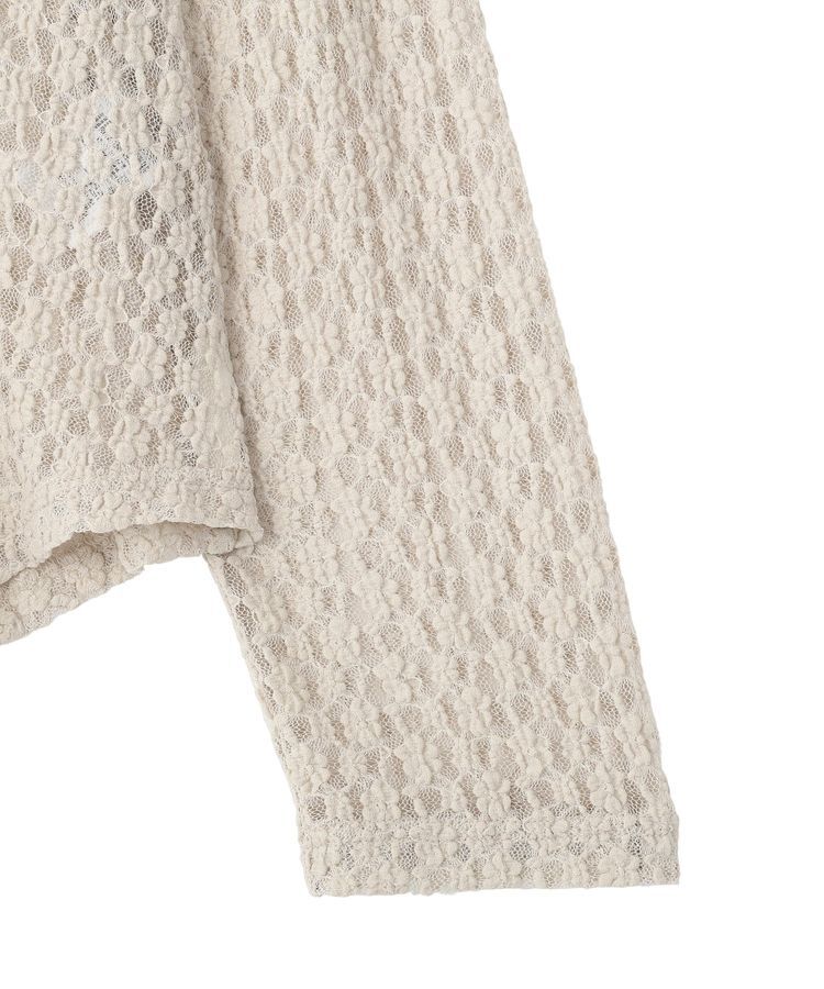 Green Parks「衿付きレースカットプルオーバー」|Tシャツ・カットソー|