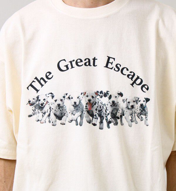 GLOSTER「【あの名作をオマージュ】犬猫実写風プリントTシャツ」|Tシャツ・カットソー|