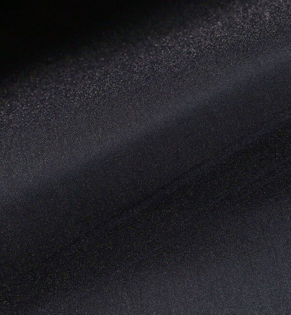 Demi-Luxe BEAMS 「オーガンジー リボンブラウス」|シャツ・ブラウス|