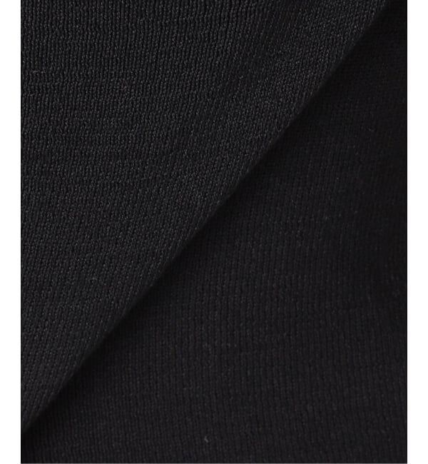 SLOBE IENA「《WEB限定/追加》総針Vネック ニットベスト」|ベスト・ジレ|