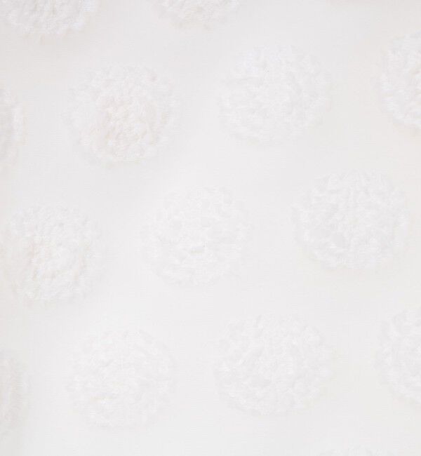 NOLLEY'S sophi「シアーフラワージャガードショートシャツ」|シャツ・ブラウス|