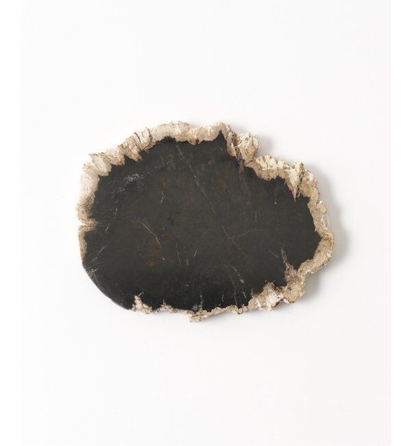 journal standard Furniture「PETRIFIED WOOD PLATE ウッドプレートS」|香水・フレグランス|