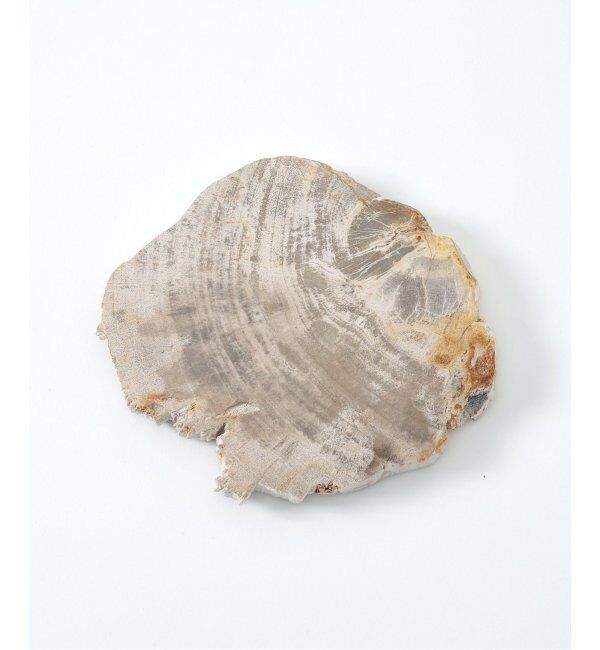 journal standard Furniture「PETRIFIED WOOD PLATE ウッドプレートS」|香水・フレグランス|