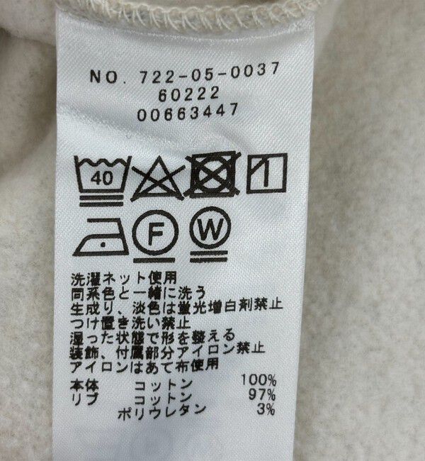 SHIPS any「【WEB限定】SHIPS any:〈洗濯機可能〉USA コットン 裏起毛 コクーン プルオーバー」|スウェット・ジャージ|