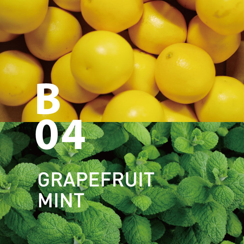 アットアロマ「B04 グレープフルーツミント ピエゾアロマオイル 100ml 」|アロマ・ルームフレグランス|