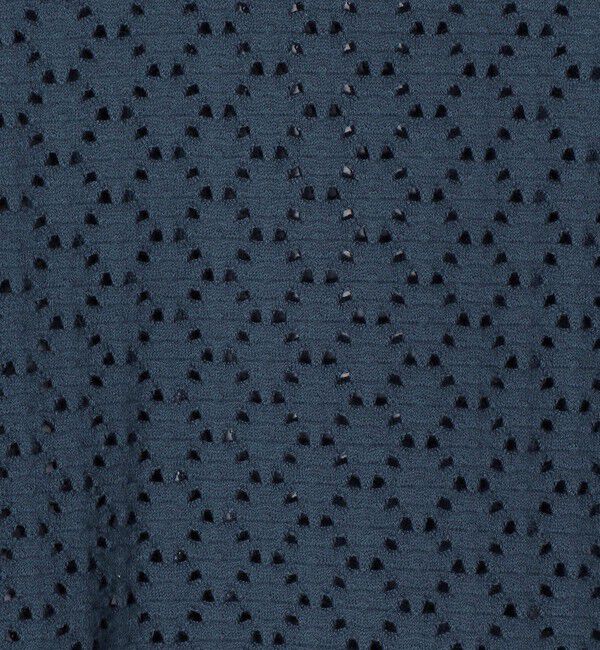 SHIPS for women「《一部追加予約》【WEB限定】〈手洗い可能〉アイレット クルーネック プルオーバー」|Tシャツ・カットソー|