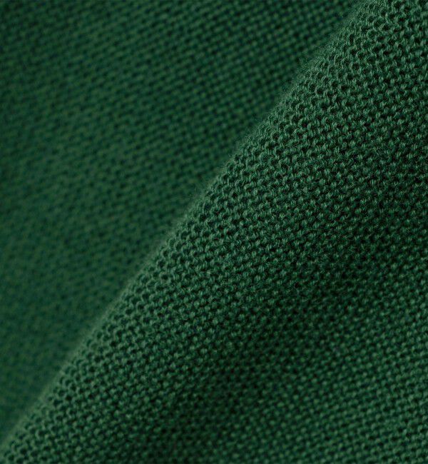 SHIPS「【SHIPS別注】LACOSTE: コットン/ポリエステル Vネック カーディガン 24FW」|カーディガン|