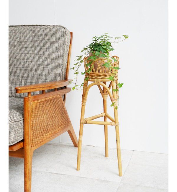 ACME「【Creer/クレエ】ラタンフラワースタンド L」|その他|その他カラー K