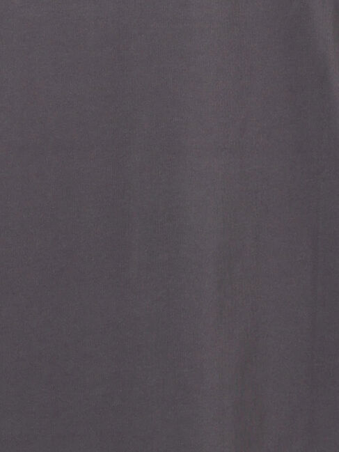 Te chichi「3DシャイニーロゴロンT《2026 spring catalog item》」|Tシャツ・カットソー|