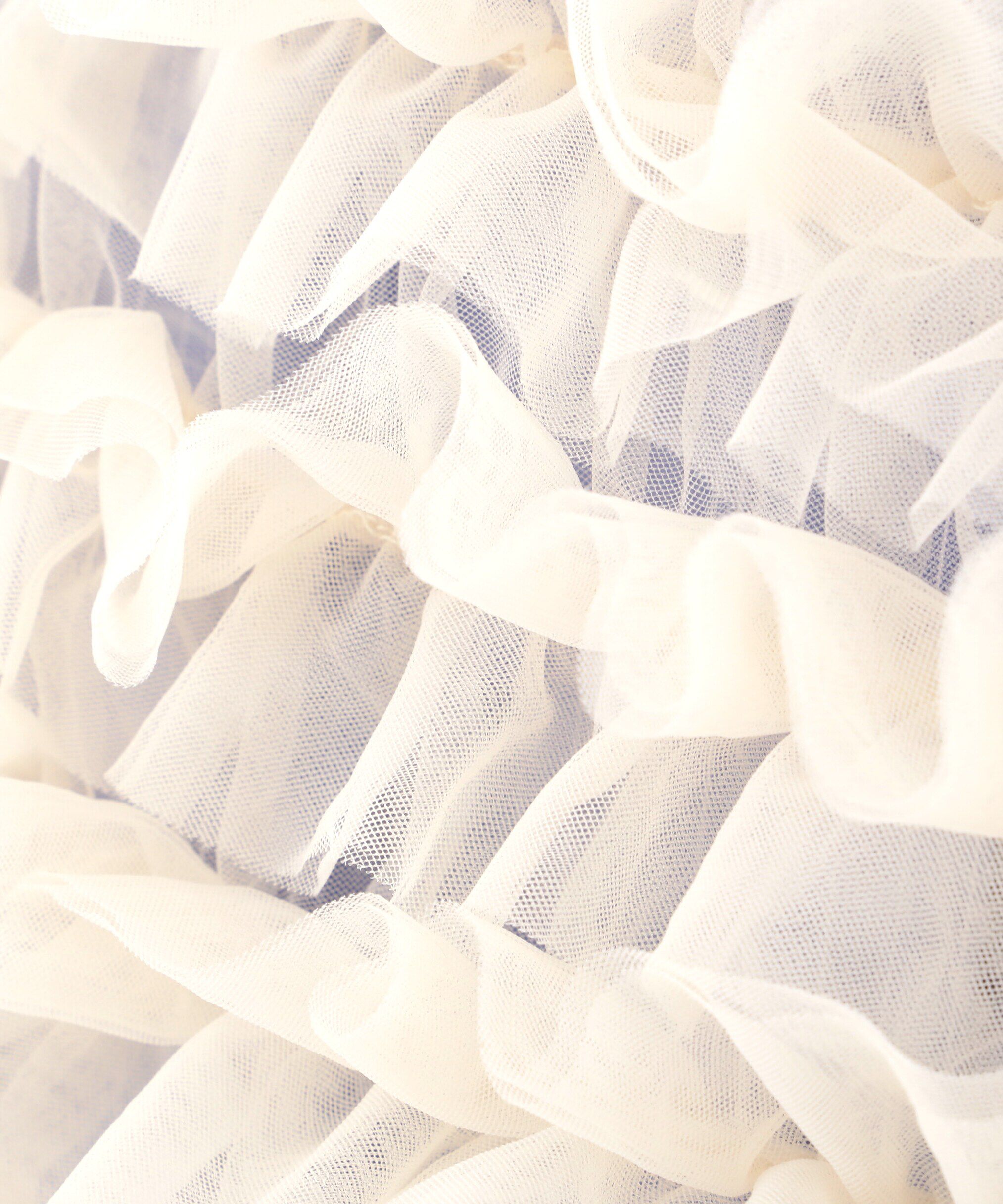 PROPORTION BODY DRESSING「チュールビスチェ付シャツ24AW」|シャツ・ブラウス|