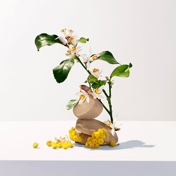 ロジェ・ガレ「ロジェ・ガレ オ パフュメ ネロリ オード トワレ ネロリ (30mL)」|香水・フレグランス|