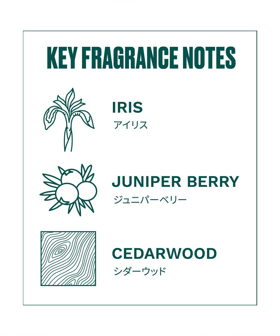 THE BODY SHOP「アイリス オードパルファム 75mL」|香水・フレグランス|