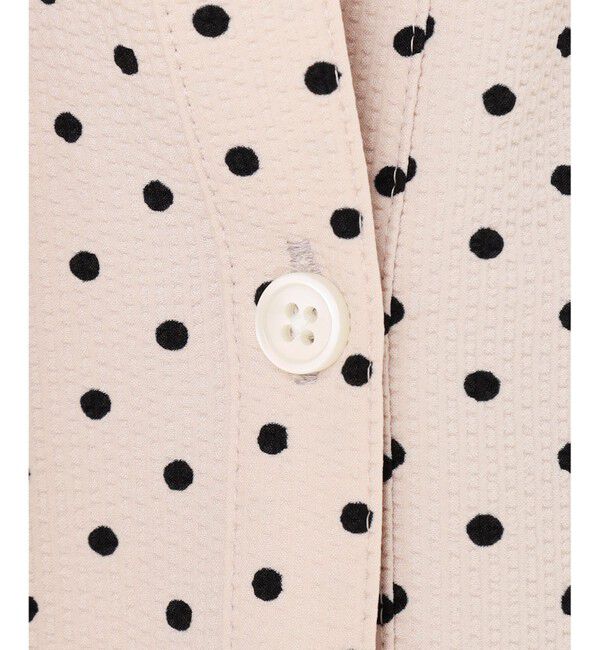 23区「【WEB&一部店舗限定/洗える】ドットプリント サッカー ブラウス」|シャツ・ブラウス|