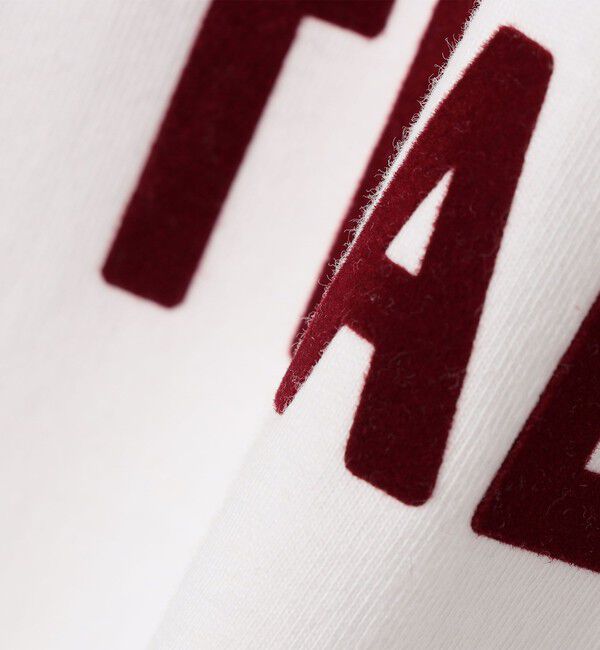 SHIPS Colors 「SHIPS Colors:〈洗濯機可能〉26SS フロッキー ロゴ TEE（ロンT）」|Tシャツ・カットソー|