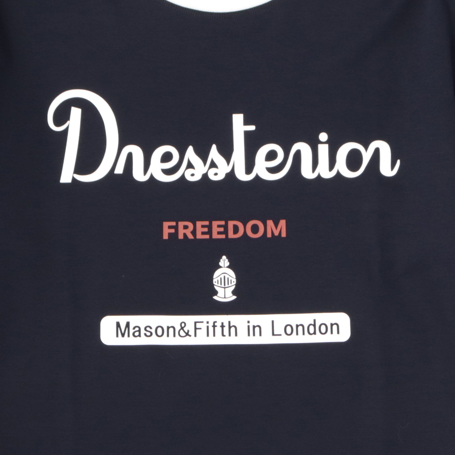 DRESSTERIOR「【接触冷感/抗菌防臭/消臭】ICE CLEAR COTTON ロゴT」|Tシャツ・カットソー|