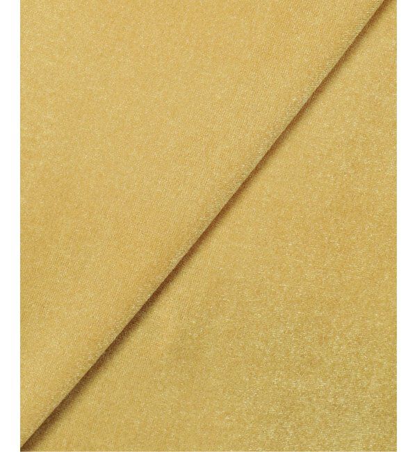 VERMEIL par iena「SHEER VELOUR トップス」|Tシャツ・カットソー|