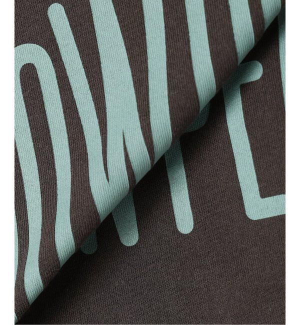 JOURNAL STANDARD relume「SNOWPEAK / スノーピーク 別注 &rdquo;トラペゾイド&rdquo; ロゴTシャツ」|Tシャツ・カットソー|