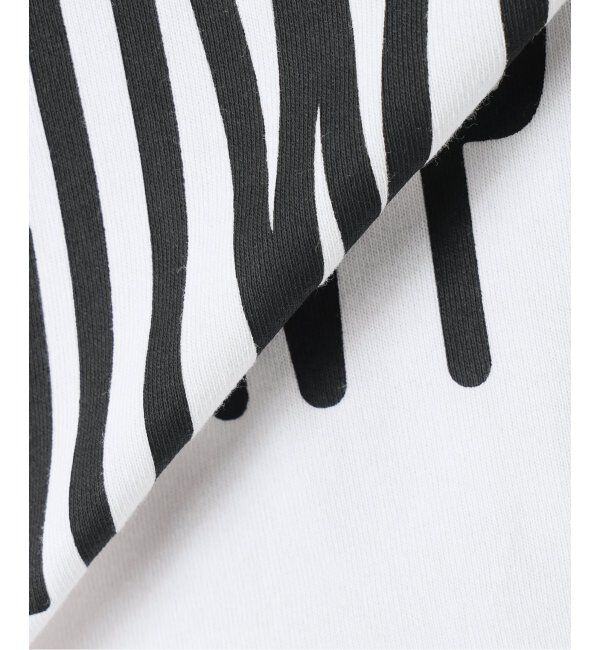 JOURNAL STANDARD relume「SNOWPEAK / スノーピーク 別注 &rdquo;トラペゾイド&rdquo; ロゴTシャツ」|Tシャツ・カットソー|