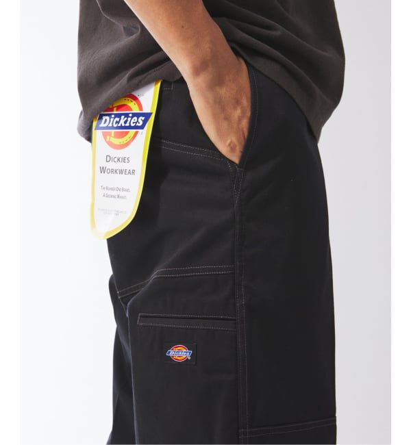 JOURNAL STANDARD relume「DICKIES / ディッキーズ 別注 &rdquo;ダブルニー&times;ダブルヒップ &rdquo; ワークパンツ」|その他|