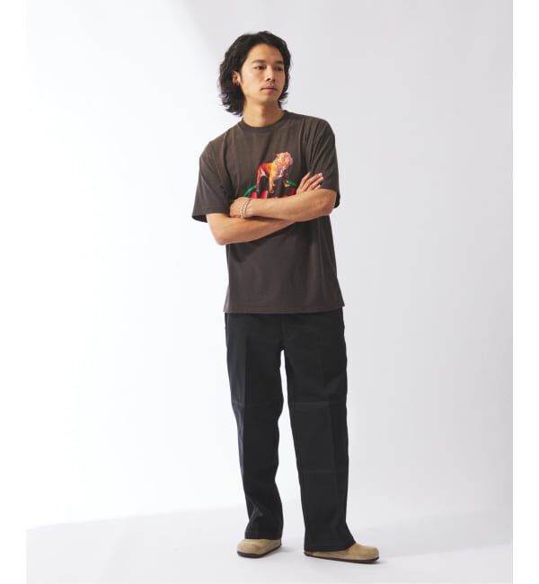 JOURNAL STANDARD relume「DICKIES / ディッキーズ 別注 &rdquo;ダブルニー&times;ダブルヒップ &rdquo; ワークパンツ」|その他|
