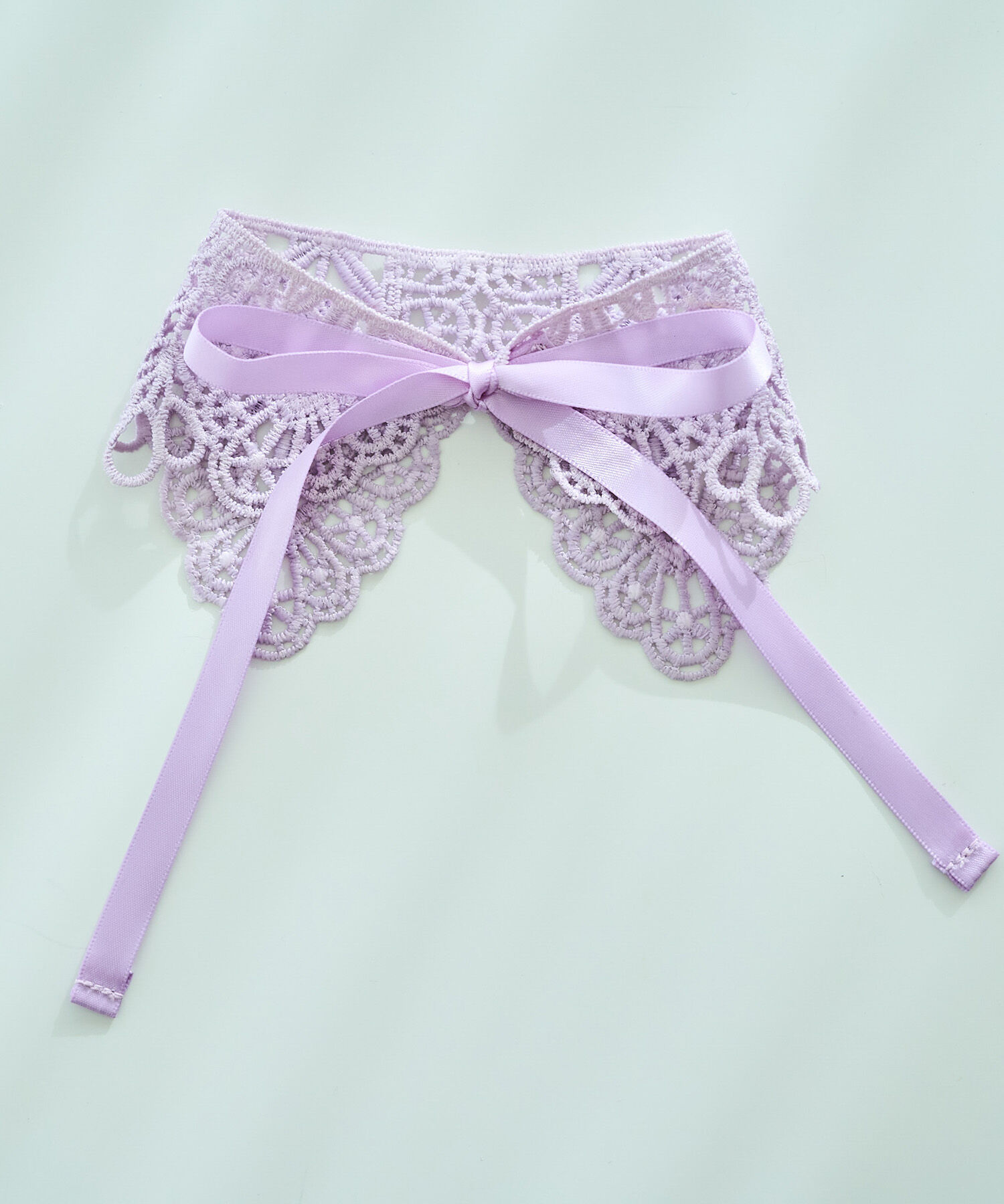 ROPE PICNIC PASSAGE「【DOG】レースつけ襟」|その他|