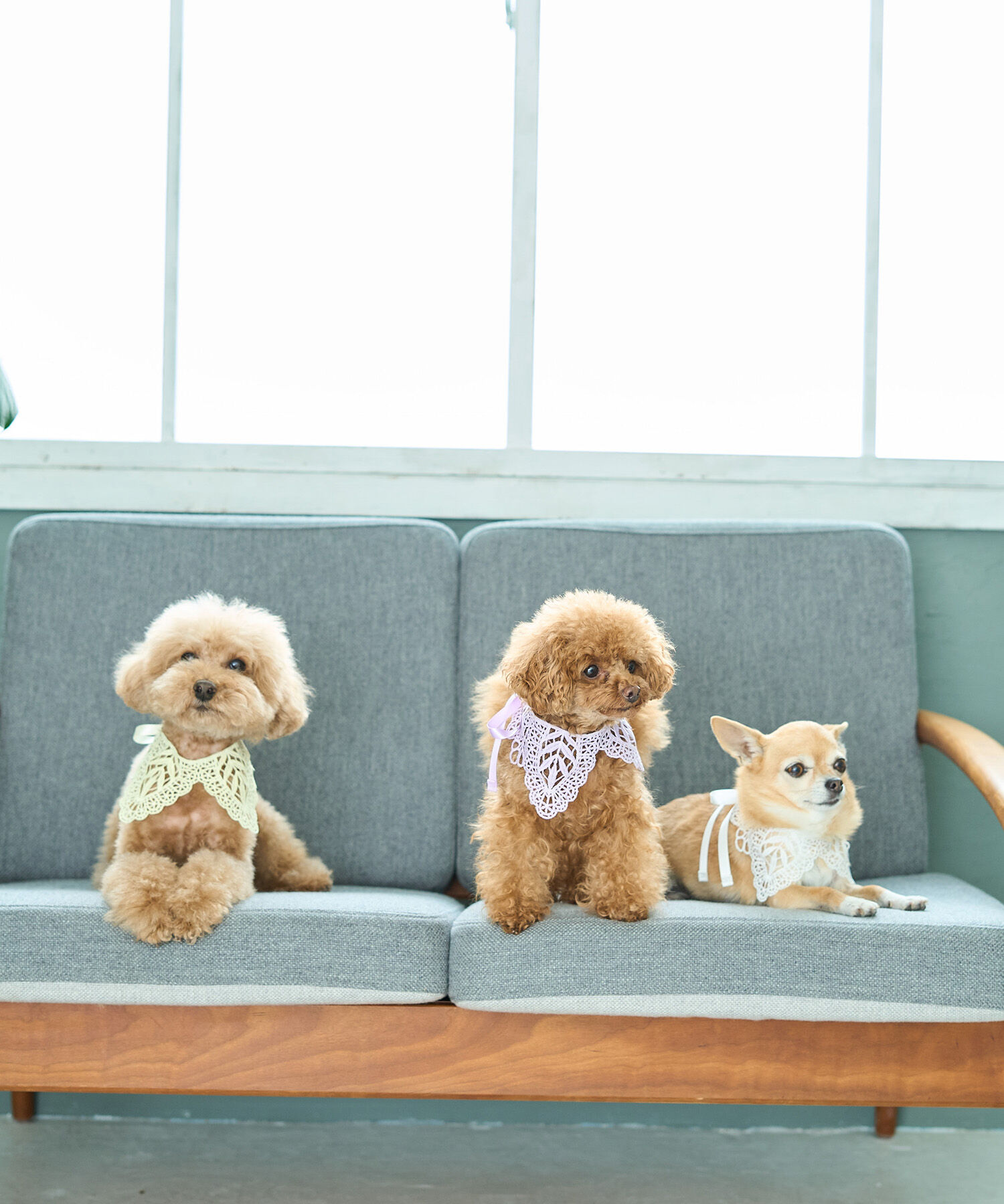 ROPE PICNIC PASSAGE「【DOG】レースつけ襟」|その他|