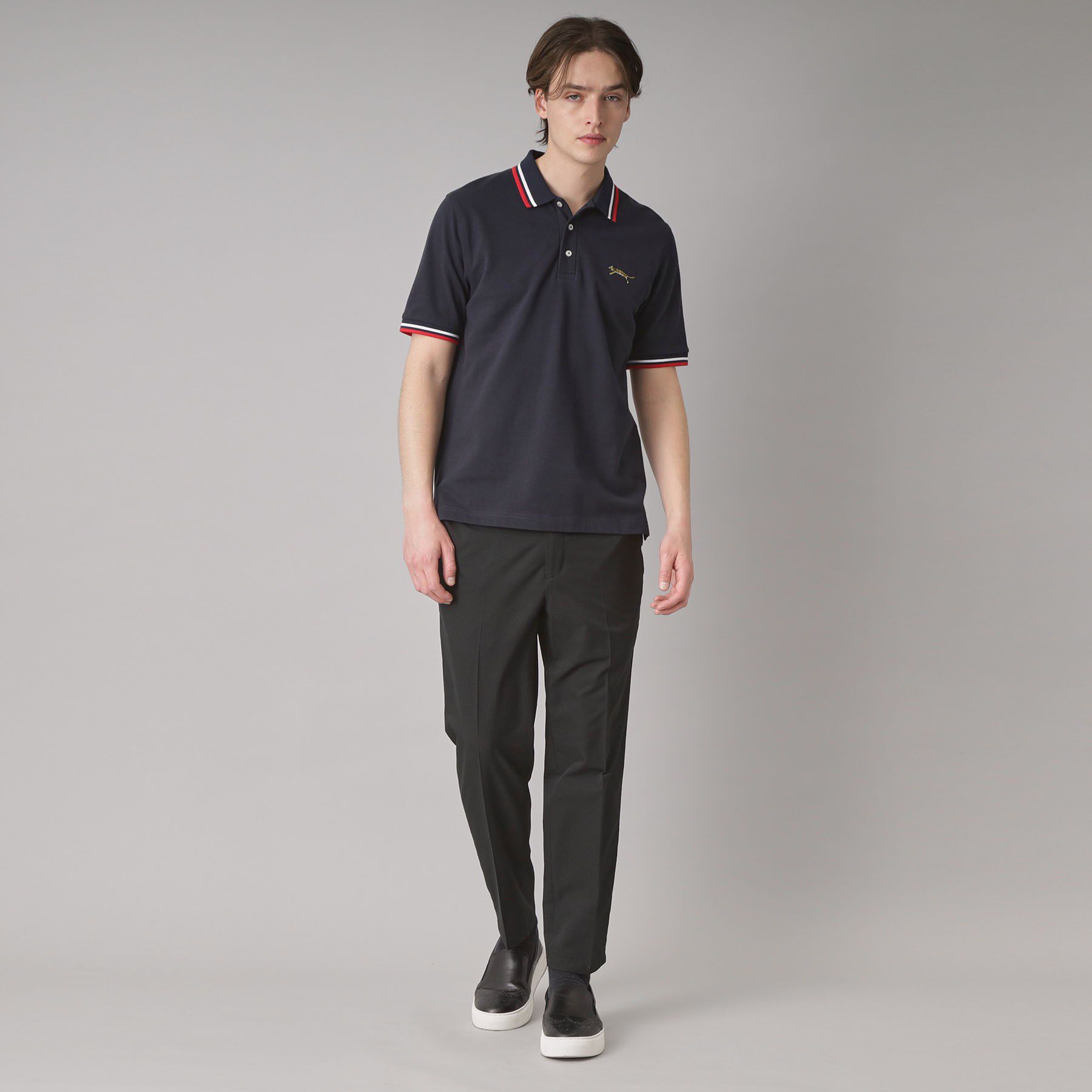 DRESSTERIOR「ドレステリア タイガーポロシャツ」|ポロシャツ|