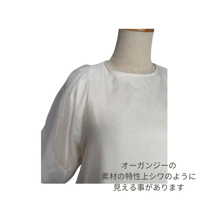 BACKYARD FAMILY「ブラウス オーガンジー レディース 通販 シャツ レディースシャツ レディースブラウス おしゃれ」|シャツ・ブラウス|