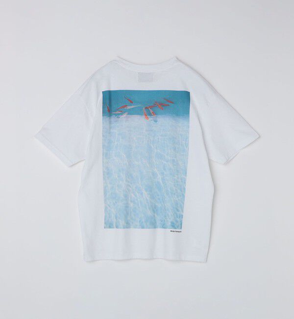 SHIPS「【SHIPS別注】NOMARHYTHM TEXTILE: 川内倫子 フォト Tシャツ」|Tシャツ・カットソー|