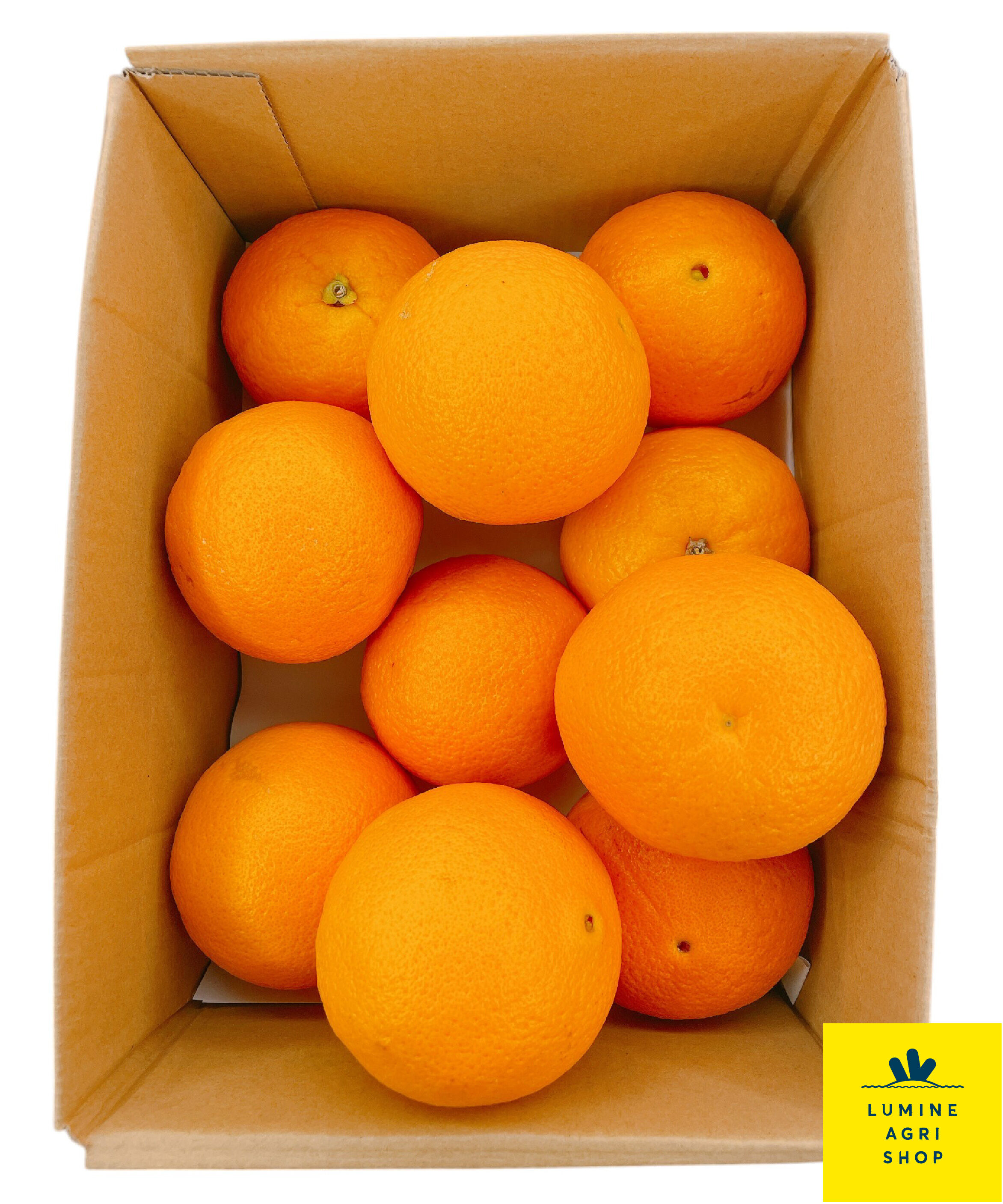 LUMINE AGRI SHOP「【L-FARMERS】稲角さん家のﾈｰﾌﾞﾙｵﾚﾝｼﾞ1.5kg」|果物・野菜|