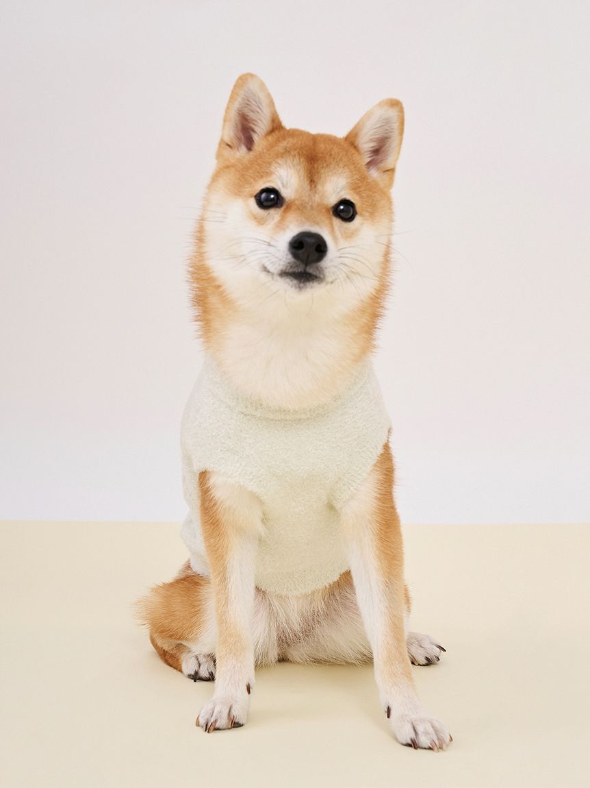  GELATO PIQUE CAT&DOG「【CAT&DOG】アイスジャガードプルオーバー」|その他|