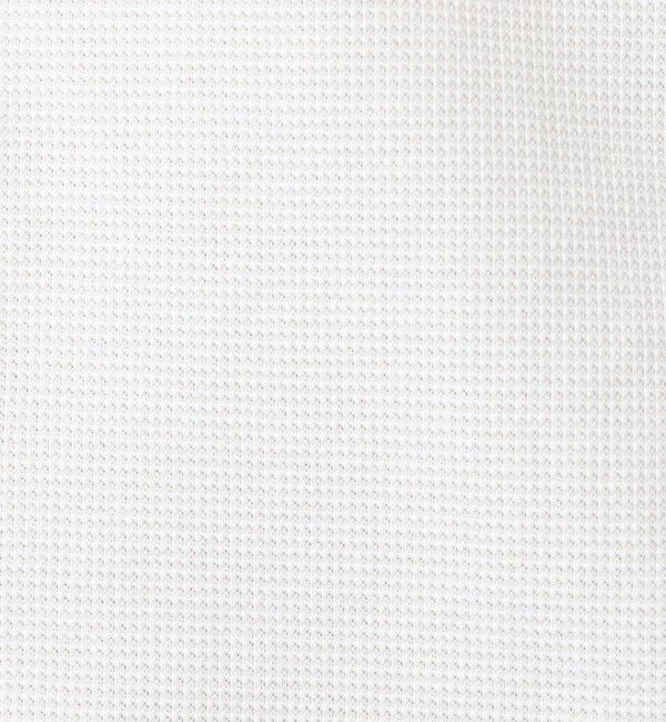 NOLLEY'S goodman「《ビジカジ対応》ALBINI 吸水速乾テープBD 26SS」|シャツ・ブラウス|