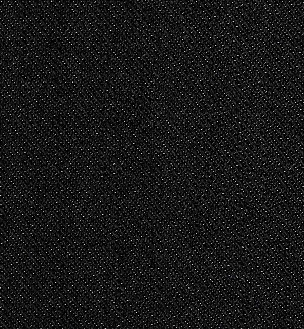 Ballsey「【WEB先行予約】ラスターデニム ミドルジレ」|ベスト・ジレ|