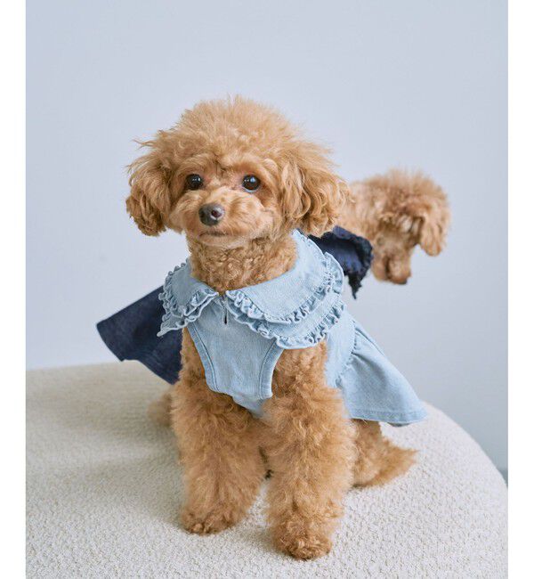 ROPE PICNIC PASSAGE「【DOG】襟付きデニムワンピース」|その他|
